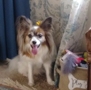 Meet your Posher, Lorie